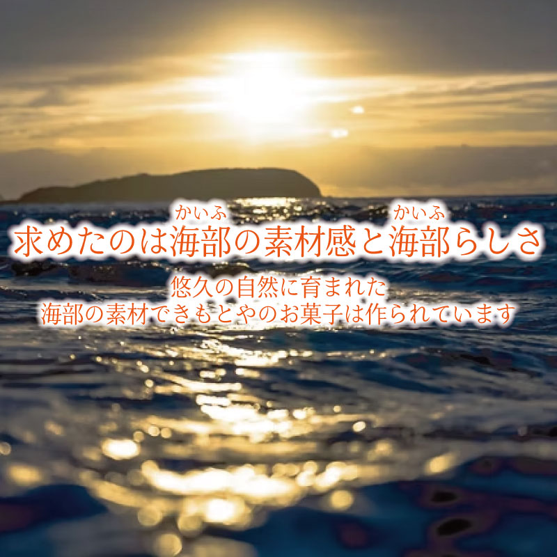 バウムクーヘン 1個 波乗りバウム BIGWAVE サンライズ バームクーヘン ばうむくーへん バウムクーヘン ばーむくーへん スイーツ 洋菓子 お菓子 ギフト 贈答用 プレゼント 箱詰め 箱入り 発酵 バター コーヒー 紅茶 徳島県 ドリームチーム