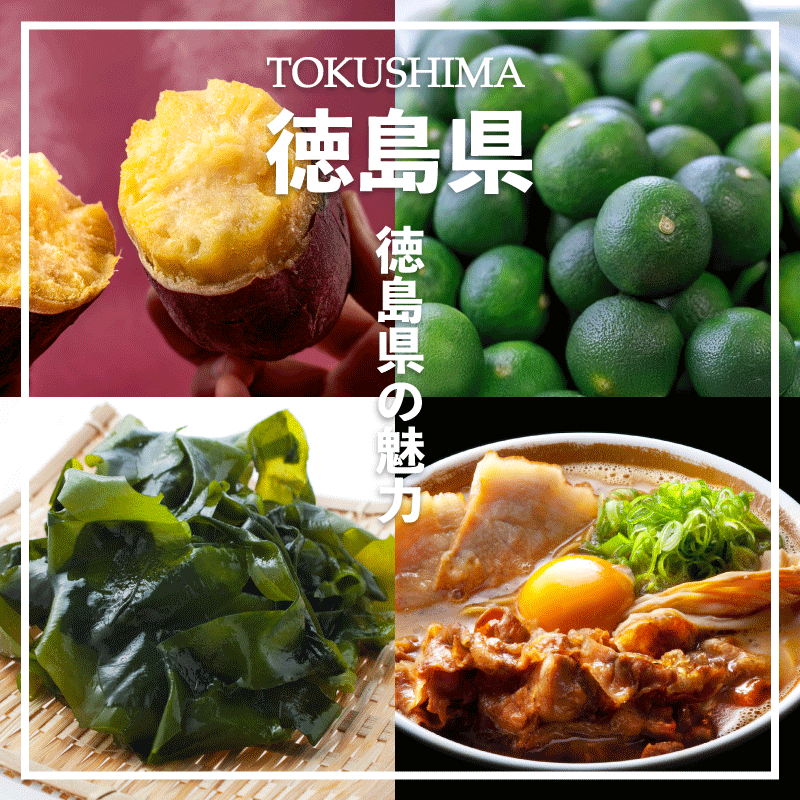 牛すじ 1.5kg 500g×3P 冷凍 国産 黒毛和牛 阿波牛 和牛 牛肉 牛すじ煮込み カレー おでん