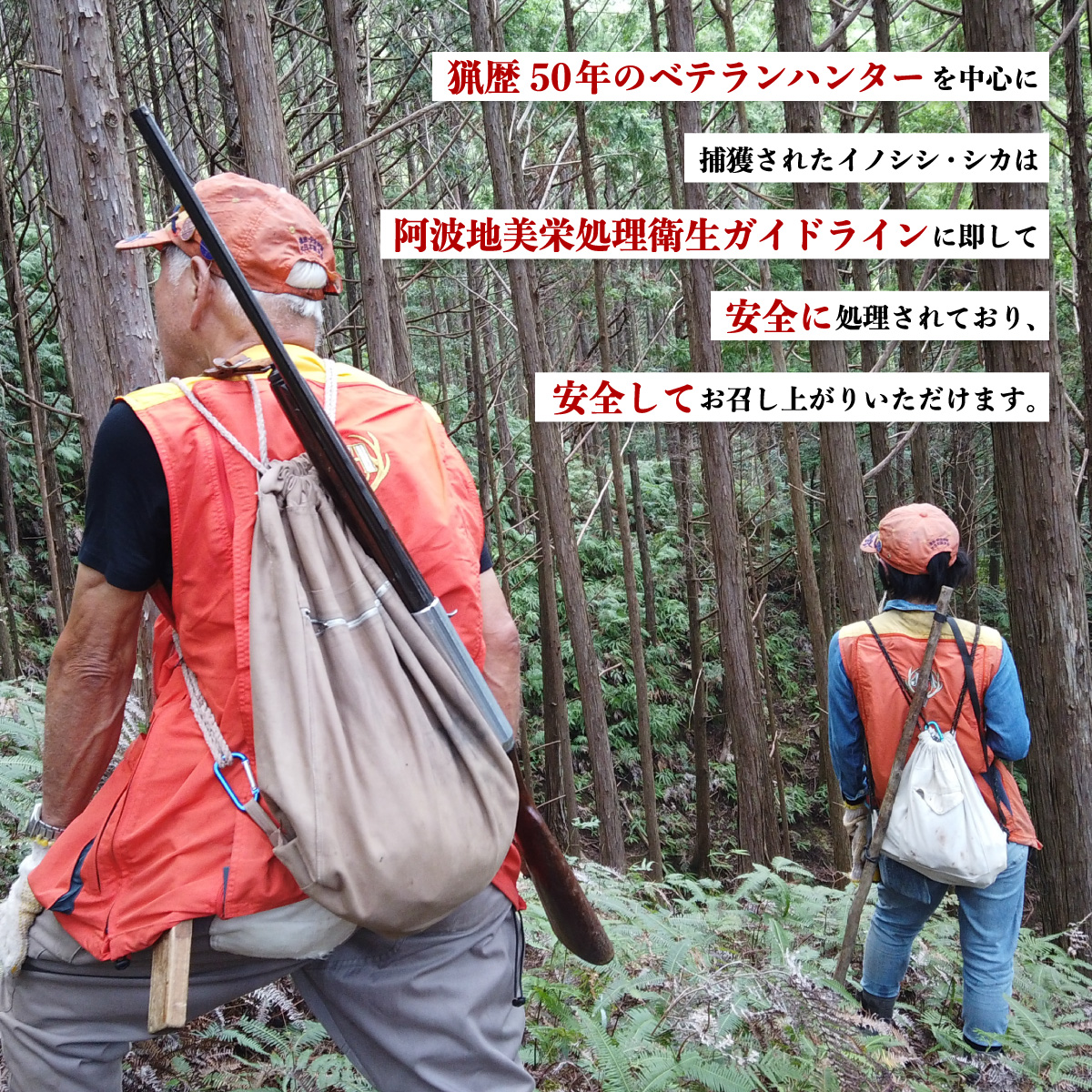 ジビエ 食べ比べ セット 猪肉 鹿肉 モモ 計1.2kg セット 鹿肉 ブロック 600g 猪 スライス600g 肉 猪 いのしし イノシシ 鹿 しか シカ 冷凍 阿波ジビエ 阿波地美栄 ドリームチーム