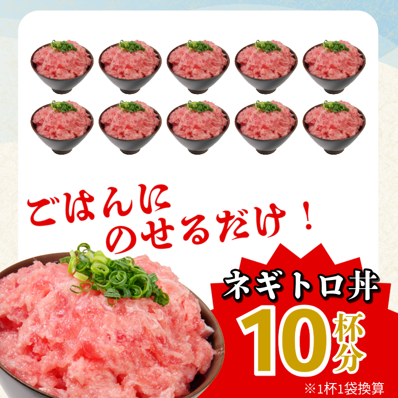 ネギトロ 1kg 100g×10P ねぎとろ マグロ 小分け ねぎとろ ネギトロ丼 まぐろたたき まぐろ マグロ 鮪 海鮮 海鮮丼 魚介 魚 人気 オススメ 小分け 人気 定番 ご飯 100g×10P