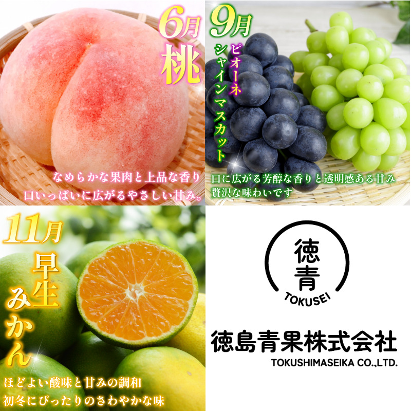 フルーツ 定期便 6ヶ月 果物 季節 旬 詰め合せ 国産 おまかせ 産地直送 シャインマスカット すだち いちご みかん キウイ 不知火 桃 ピオーネ 徳島
