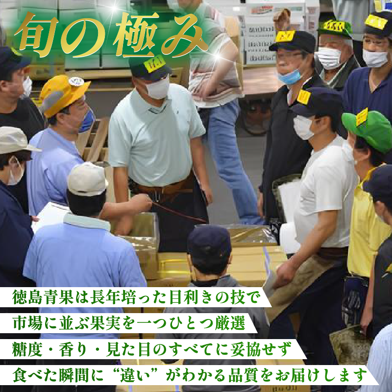 旬の果実 定期便 12回 フルーツ 果物 野菜 季節 旬 詰め合せ 国産 おまかせ 産地直送 シャインマスカット いちご みかん キウイ 不知火 トマト ピオーネ 梨 柿 徳島県