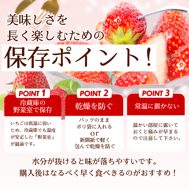 いちご 1㎏ さちのか 苺 イチゴ ストロベリー 数量限定 徳島県産 ichigo strawberry itigo 1月下旬より順次出荷 徳島県