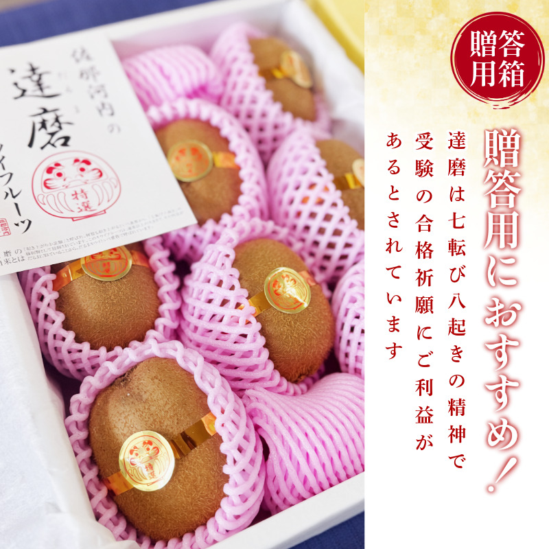 【1月下旬より順次発送】 達磨キウイ 8玉 1.4kg きうい キウイ フルーツ 果物 くだもの お取り寄せ 人気 おすすめ 徳島県 送料無料 徳島青果