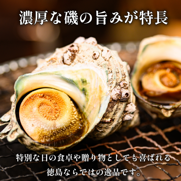 サザエ 2kg さざえ 貝 貝類 栄螺 鮮魚 海鮮 魚介 刺身 焼き物 汁物 さざえご飯 壺焼き つぼ 正月 おせち ギフト 贈答 贈り物 祝い 歳暮 中元 年末 年始 バーベキュー BBQ sazae 徳島 阿南