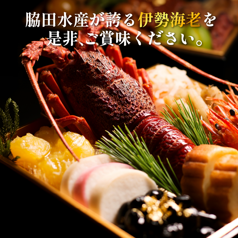 伊勢海老 300g 5尾 《徳島の伊勢海老は身詰まりが良い！》 えび エビ 高級 伊勢 伊勢えび 鮮魚 海鮮 魚介 刺身 焼き物 汁物 イセエビ 海老 正月 おせち ギフト 贈答 贈り物 徳島 阿南 【年末年始 発送対応可能です！】