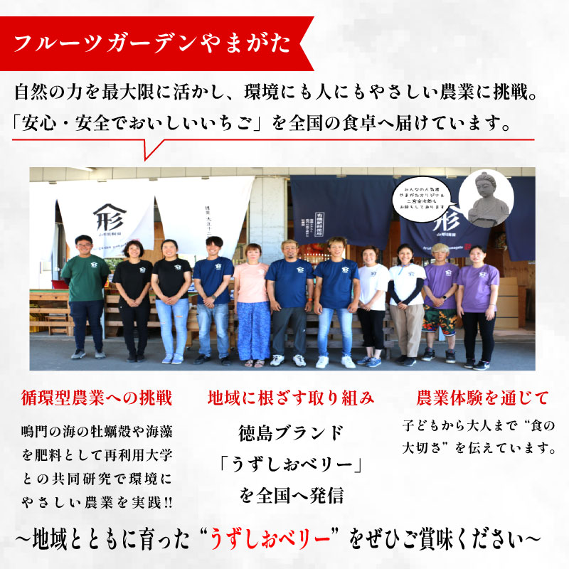 いちご 苺 30粒 3L サイズ 2026年1月から4月末まで発送 うずしおベリー 果物 フルーツ デザート 旬 新鮮 季節 冬 人気 ケーキ おすすめ ギフト プレゼント 贈答 贈り物 家庭用 先行予約 送料無料 徳島