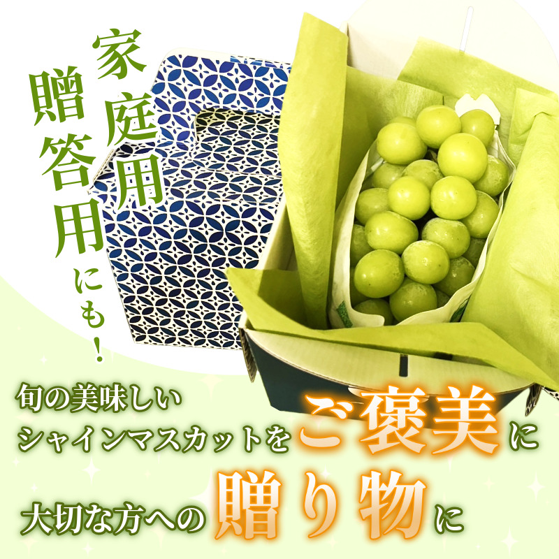 シャイン マスカット フルーツ 果物 2房 冷蔵 1kg 種なし 大粒 高級 甘い シャインマスカット ぶどう 産地直送 国産 徳島県 【6月中旬～8月中旬まで順次発送】