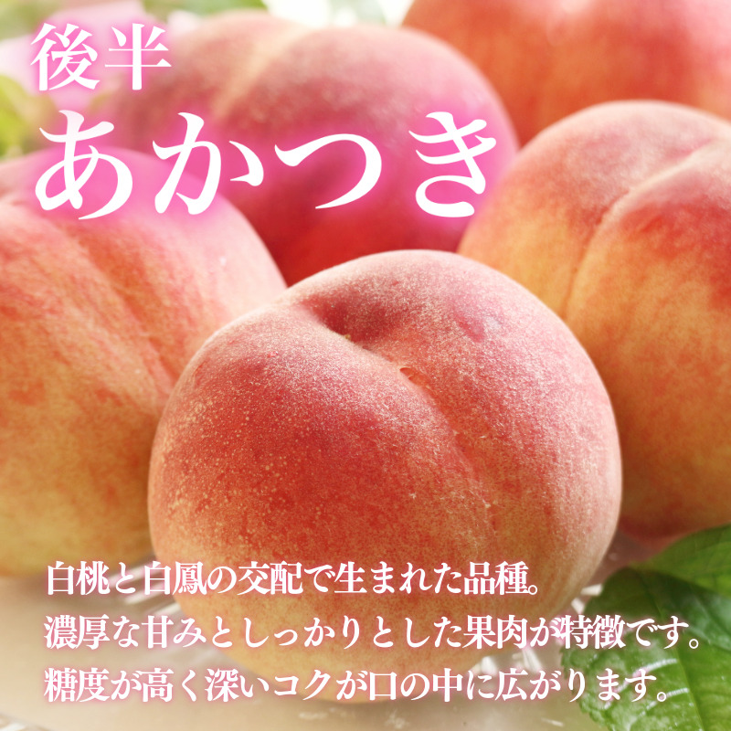 【6月下旬から7月下旬まで発送】 桃 4kg 白鳳 あかつき もも 白桃 モモ 果物 フルーツ 甘い 旬 贈答用 プレゼント 国産 徳島県