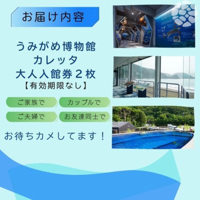 日和佐うみがめ博物館カレッタ 入館券 大人2名分 うみがめ ウミガメ 海亀 かめ カメ 亀 博物館 チケット 美波町 徳島県 ドリームチーム