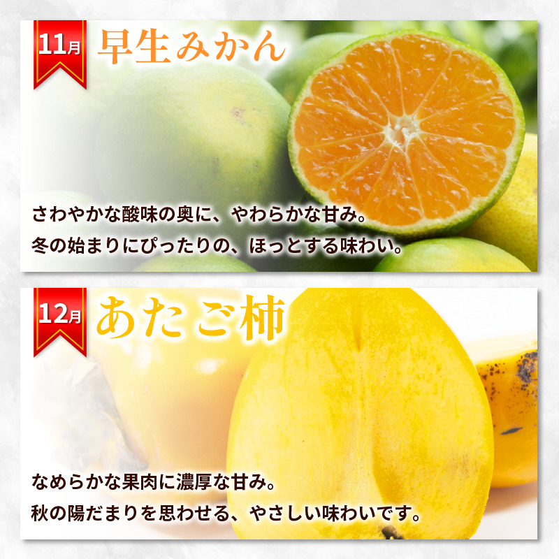 フルーツ 定期便 12ヶ月 果物 季節 旬 詰め合せ 国産 おまかせ 産地直送 シャインマスカット いちご みかん デコポン 桃 メロン 八朔 梨 柿 あたご柿 徳島
