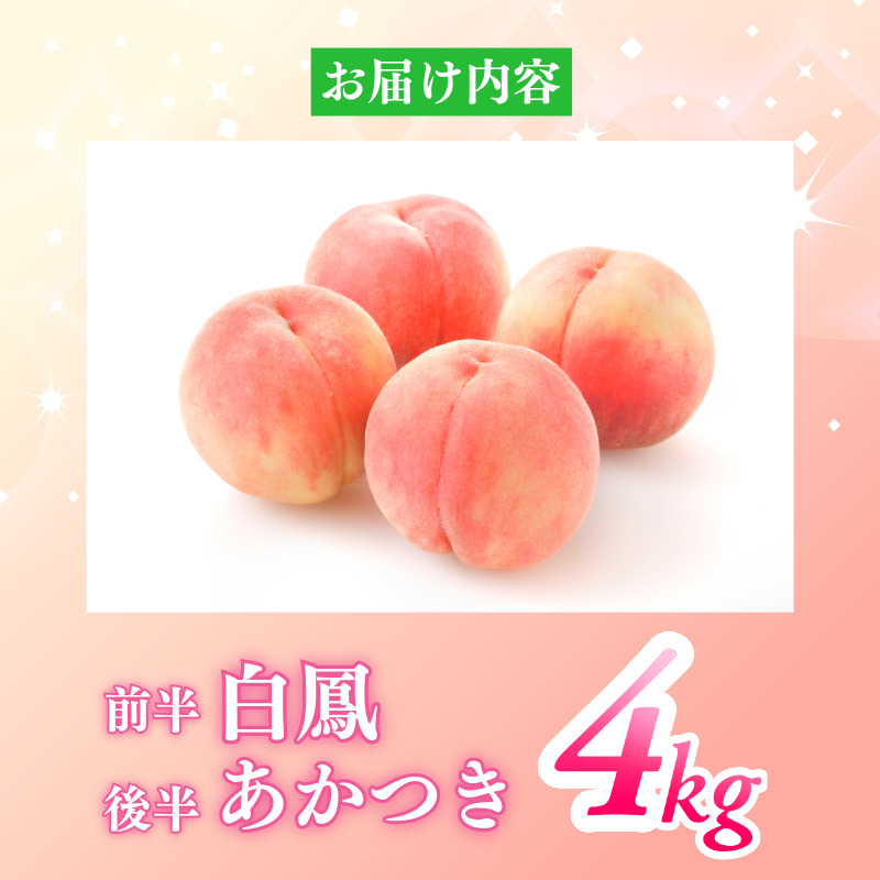【6月下旬から7月下旬まで発送】 桃 4kg 白鳳 あかつき もも 白桃 モモ 果物 フルーツ 甘い 旬 贈答用 プレゼント 国産 徳島県