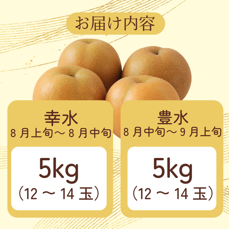 【8月上旬から9月上旬まで発送】 梨 5kg 豊水 幸水 容量 選べる フルーツ 果物 なし 食べ比べ 旬 国産 厳選 徳島県