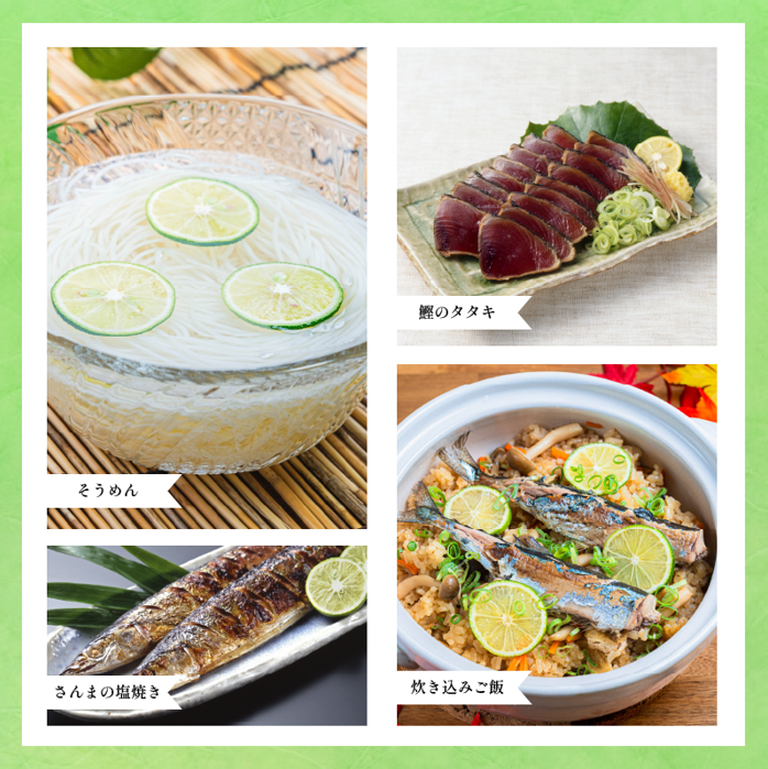 すだち 1kg 徳島県産 8月から10月末まで発送 先行予約 魚 ホタテ 鮭 サーモン さば ぶり まぐろ うなぎ さんま 刺し身 肉 牛タン ステーキ 牛肉 豚肉 鶏肉 そうめん 米 ご飯 寿司 パスタ 食卓 餃子 野菜 フルーツ 搾り 水 果物 ジュース 柑橘 酒 カクテル サワー ふるさと 徳島 さなみどり