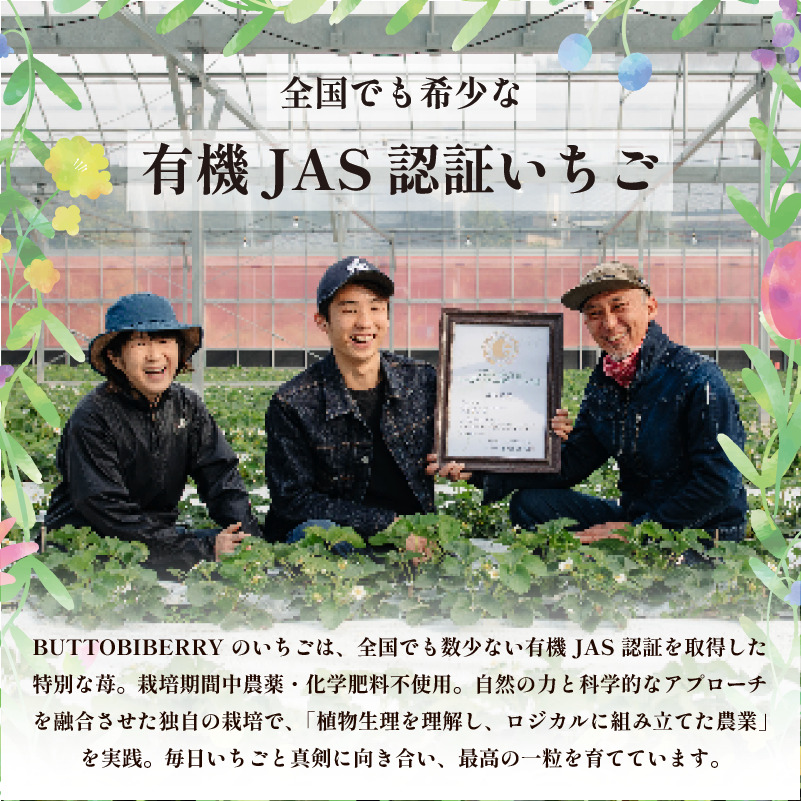 いちご 冷凍 オーガニック 1kg B品 苺 ストロベリー フルーツ 果物 くだもの 国産 洋菓子 和菓子 スイーツ お菓子 おやつ アイス ケーキ パフェ タルト ゼリー 徳島県