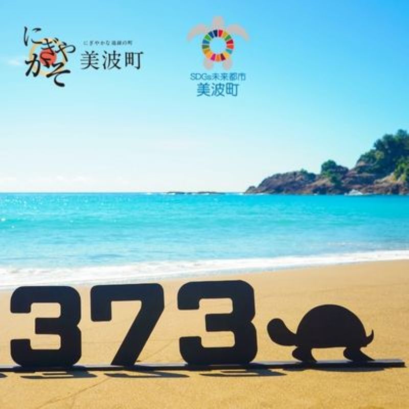 日和佐うみがめ博物館カレッタ 入館券 大人2名分 うみがめ ウミガメ 海亀 かめ カメ 亀 博物館 チケット 美波町 徳島県 ドリームチーム