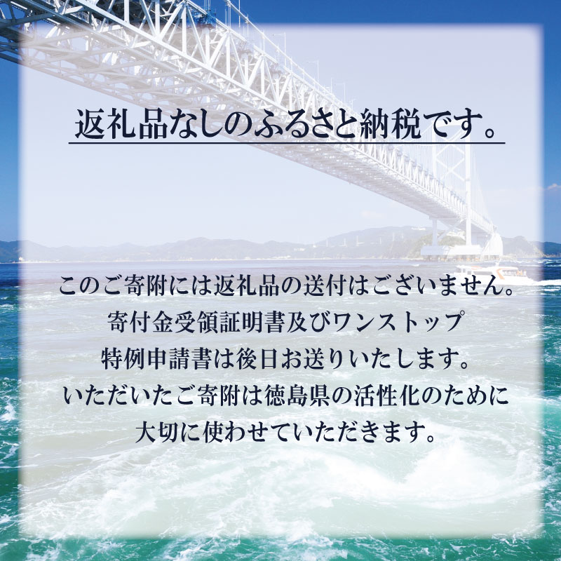 【返礼品なし】 徳島県への寄附 徳島県 ふるさと納税応援寄附 1口 1,000円から 応援 支援 寄付 寄附 ふるさと納税 観光 とくしま 徳島