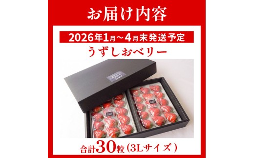 いちご 苺 30粒 3L サイズ 2026年1月から4月末まで発送 うずしおベリー 果物 フルーツ デザート 旬 新鮮 季節 冬 人気 ケーキ おすすめ ギフト プレゼント 贈答 贈り物 家庭用 先行予約 送料無料 徳島