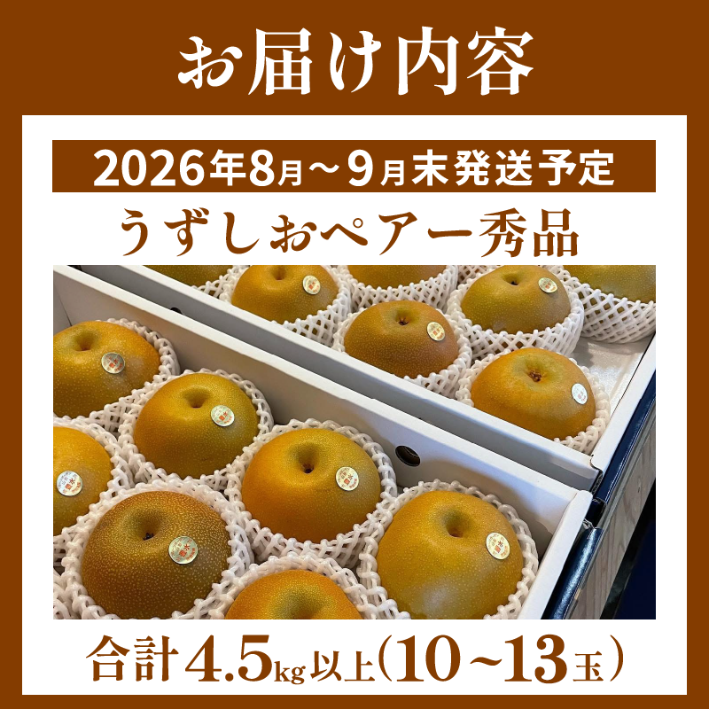 【2026年先行予約】梨 なし 4.5kg以上 10〜13玉 3L〜5Lサイズ 2026年 8月順次発送 うずしおペアー 果物 フルーツ デザート 旬 新鮮 季節 秋 人気 おすすめ ギフト プレゼント 贈答 贈り物 家庭用 期間限定 送料無料 鳴門 徳島