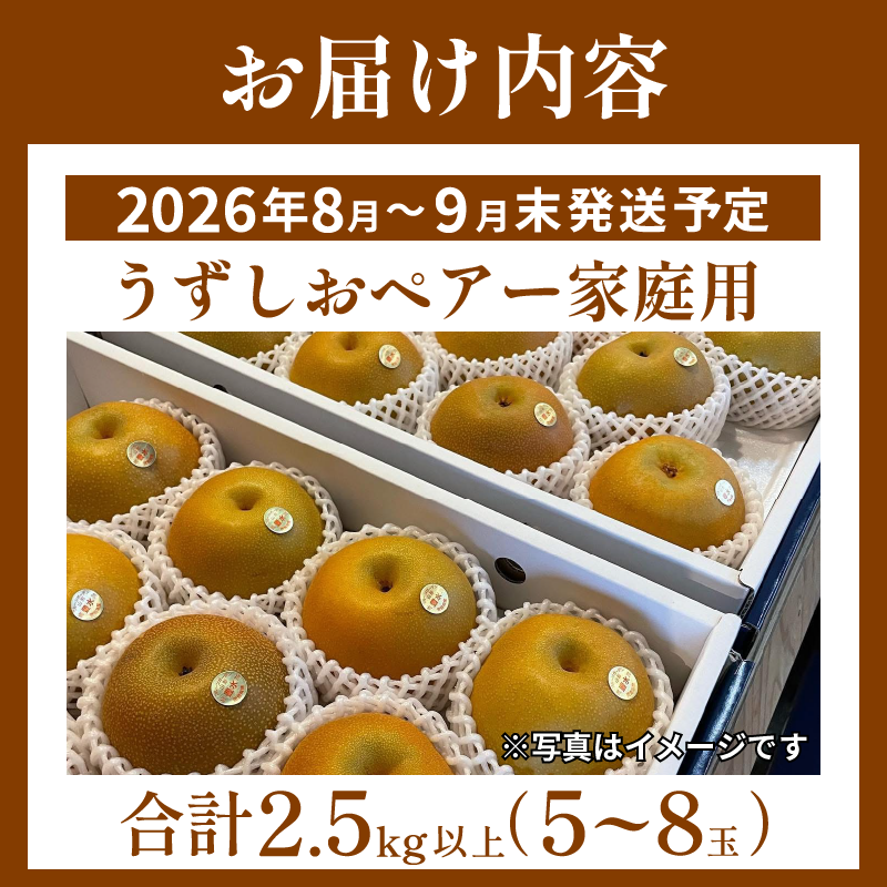 【2026年先行予約】梨 なし ご家庭用 2.5kg以上 5〜8玉 2026年 8月順次発送 うずしおペアー