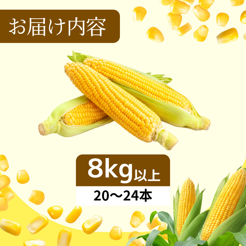 【6月下旬より順次発送】とうもろこし ゴールドラッシュ 8kg以上 選べる 容量 厳選 新鮮 甘い 生 国産 野菜 スイートコーン バーベキュー BBQ コーン 旬 徳島県