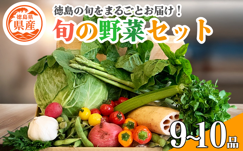 野菜 セット 9～10品 単品 季節 旬 野菜 詰め合せ 国産 季節 旬 おまかせ 産地直送 春野菜 夏野菜 秋野菜 葉物 果物 果菜 根菜 冷蔵 野菜室 ダイエット 食 栄養食 加工品 カット野菜