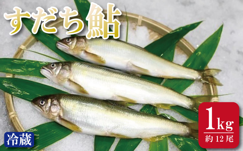すだち 鮎 1kg 5月中旬から8月末まで発送 あゆ 冷蔵 すだち果汁 塩焼き 甘露煮 米 お米 ご飯 と一緒に うなぎ 鮭 かつお に負けない 魚 川魚 柑橘 BBQ 酒 つまみ 養殖 徳島
