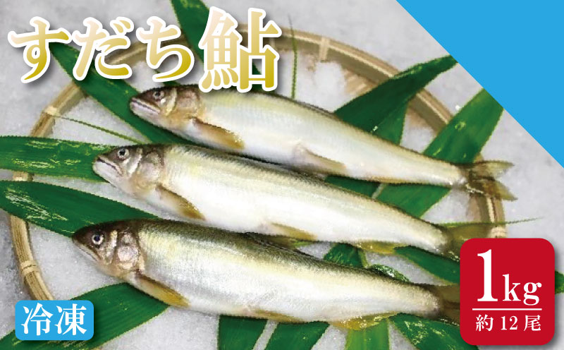 すだち 鮎 1kg あゆ 冷凍 すだち果汁 塩焼き 甘露煮 米 お米 ご飯 と一緒に うなぎ 鮭 かつお に負けない 魚 川魚 柑橘 BBQ 酒 つまみ 養殖 徳島