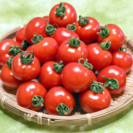 フルーツトマト 星のしずく【1箱700g入り】2025年11月から発送