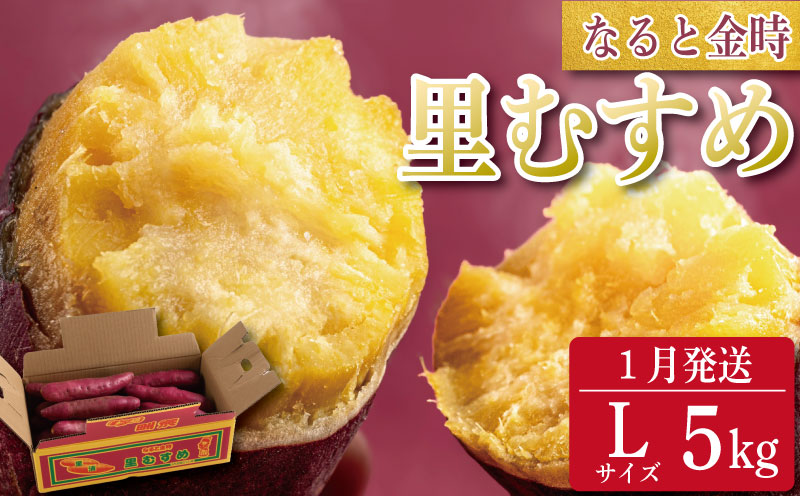 なると金時 里むすめ【Lサイズ5kg】2026年1月発送