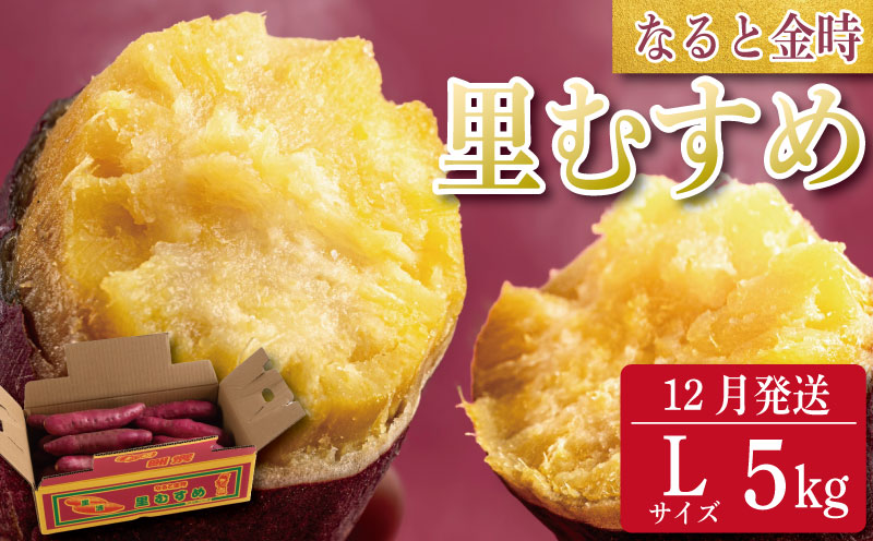 なると金時 里むすめ 5kg Lサイズ 12月発送 《 徳島と言えば なると金時 ！》 さつまいも 鳴門金時 いも 芋 焼き芋 干し芋 スイーツ 貯蔵庫 熟成 国産 ブランド お土産 徳島 鳴門