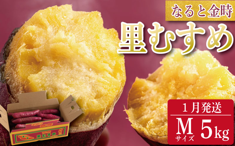 なると金時 里むすめ【Mサイズ5kg】2026年1月発送