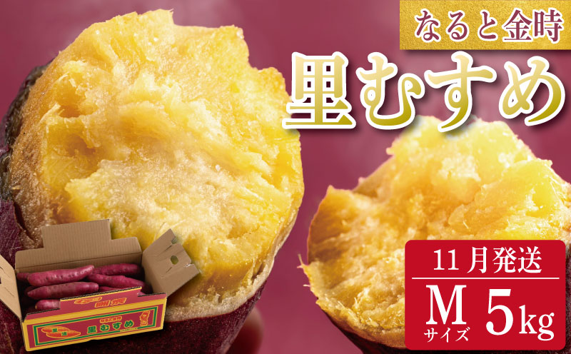 なると金時 里むすめ 5kg Mサイズ 11月発送 《 徳島と言えば なると金時 ！》 さつまいも 鳴門金時 いも 芋 焼き芋 干し芋 スイーツ 貯蔵庫 熟成 国産 ブランド お土産 徳島 鳴門