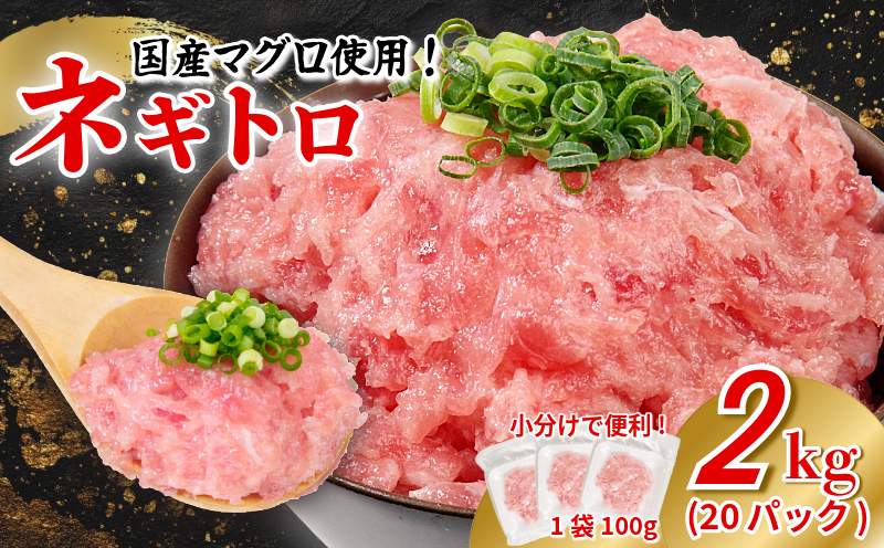  ネギトロ 2kg 100g×20P ねぎとろ マグロ 小分け ねぎとろ ネギトロ丼 まぐろたたき まぐろ マグロ 鮪 海鮮 海鮮丼 魚介 魚 人気 オススメ 小分け 人気 定番 ご飯 100g×20P