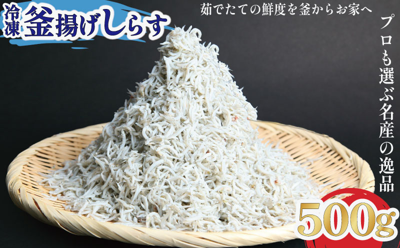  釜揚げ しらす 500g 冷凍 鮮度 産地直送 しらす丼 海鮮 海鮮丼 魚介 魚 オススメ 小分け 人気 定番 ご飯 250g×2P