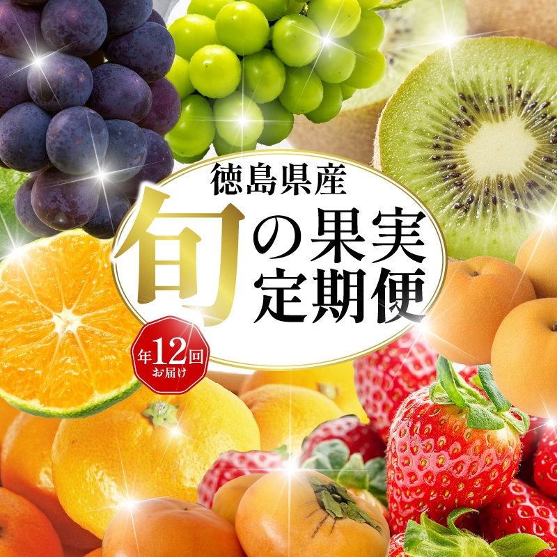 旬の果実 定期便 12回 フルーツ 果物 野菜 季節 旬 詰め合せ 国産 おまかせ 産地直送 シャインマスカット いちご みかん キウイ 不知火 トマト ピオーネ 梨 柿 徳島県