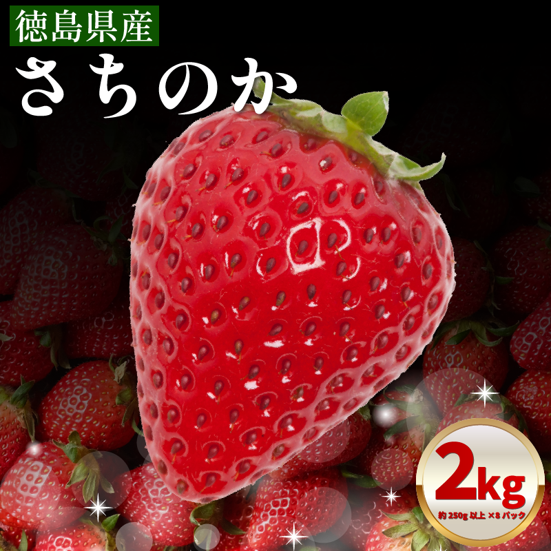 いちご 2kg さちのか 苺 イチゴ ストロベリー 数量限定 徳島県産 ichigo strawberry itigo 1月下旬より順次出荷 徳島県