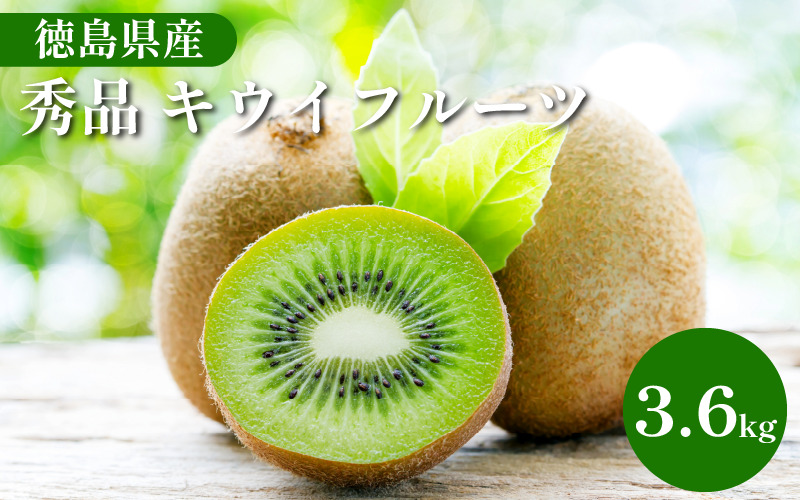 【1月下旬より順次発送】 秀品 キウイフルーツ 24~30玉 3.6kg きうい キウイ フルーツ 果物 くだもの お取り寄せ 人気 おすすめ 徳島県 送料無料 徳島青果