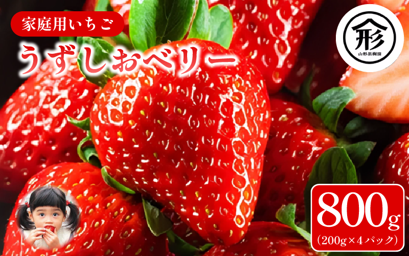 いちご 苺 4パック 800g 2026年1月～4月末まで発送 うずしおベリー 果物 フルーツ デザート 旬 新鮮 季節 冬 人気 ケーキ おすすめ ギフト プレゼント 贈答 家庭用 先行予約 送料無料 徳島