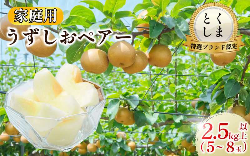【2026年先行予約】梨 なし ご家庭用 2.5kg以上 5〜8玉 2026年 8月順次発送 うずしおペアー