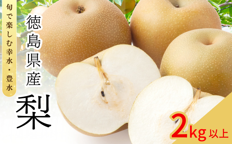 【8月上旬から9月上旬まで発送】 梨 2kg以上 豊水 幸水 容量 選べる フルーツ 果物 なし 食べ比べ 旬 国産 厳選 徳島県