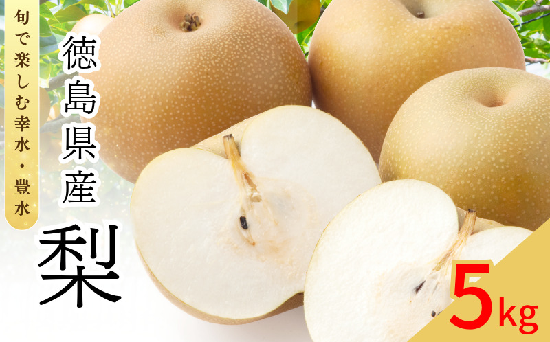 【8月上旬から9月上旬まで発送】 梨 5kg 豊水 幸水 容量 選べる フルーツ 果物 なし 食べ比べ 旬 国産 厳選 徳島県