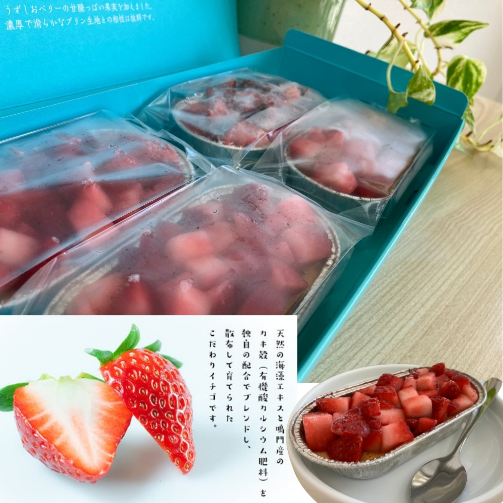うずしおベリー カタラーナ 2箱セット いちごスイーツ 苺 フルーツガーデンやまがた