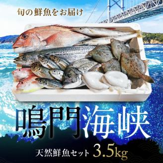 鳴門海峡 冷凍鮮魚 セット 3.5kg （魚種：4～5種）