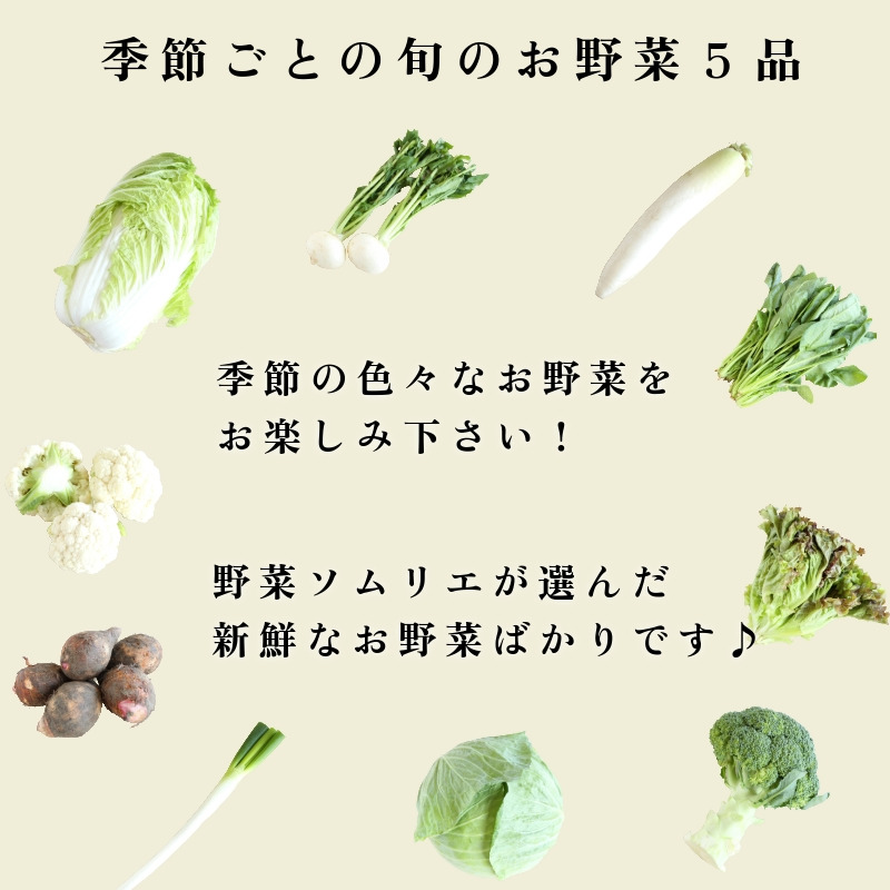 エシカル野菜5種とお米のセット 野菜 米 新鮮 採れたて 産地直送 やさい とうもろこし トマト 減農薬 きのこ オクラ 玉ねぎ 美味しい 小松島市