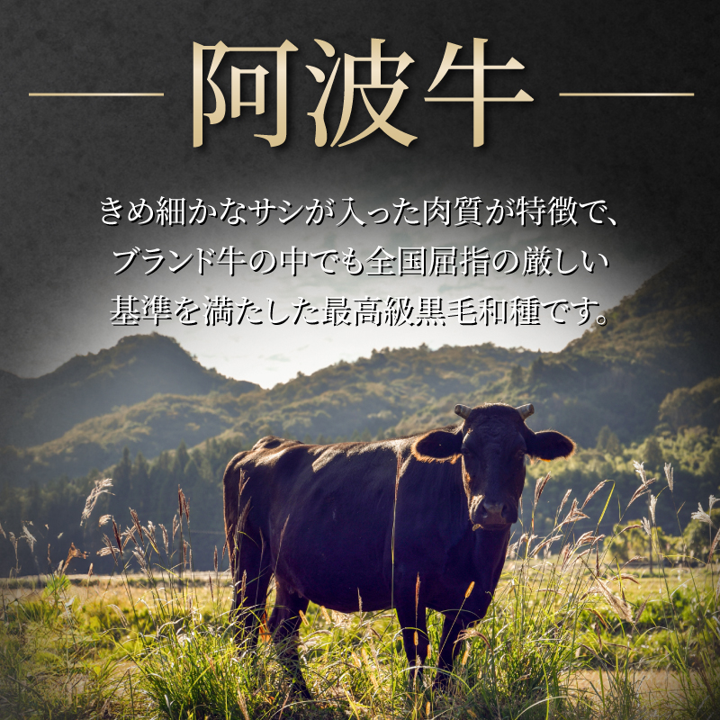 ホルモン 大腸 阿波牛 塩漬け 200g×3パック 小分け 計600g  国産 牛 黒毛和牛 鍋 焼肉 脂 焼き ホソ もつ 肉 牛肉 BBQ 【北海道・東北・沖縄・離島への配送不可】