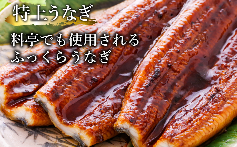 うなぎ 蒲焼き ( 特大 2尾 計500g 250g×2尾 ) ご飯にかける専用タレ付き！ 冷凍 | うなぎ うなぎ うなぎ うなぎ うなぎ うなぎ 鰻 鰻 鰻 鰻 鰻