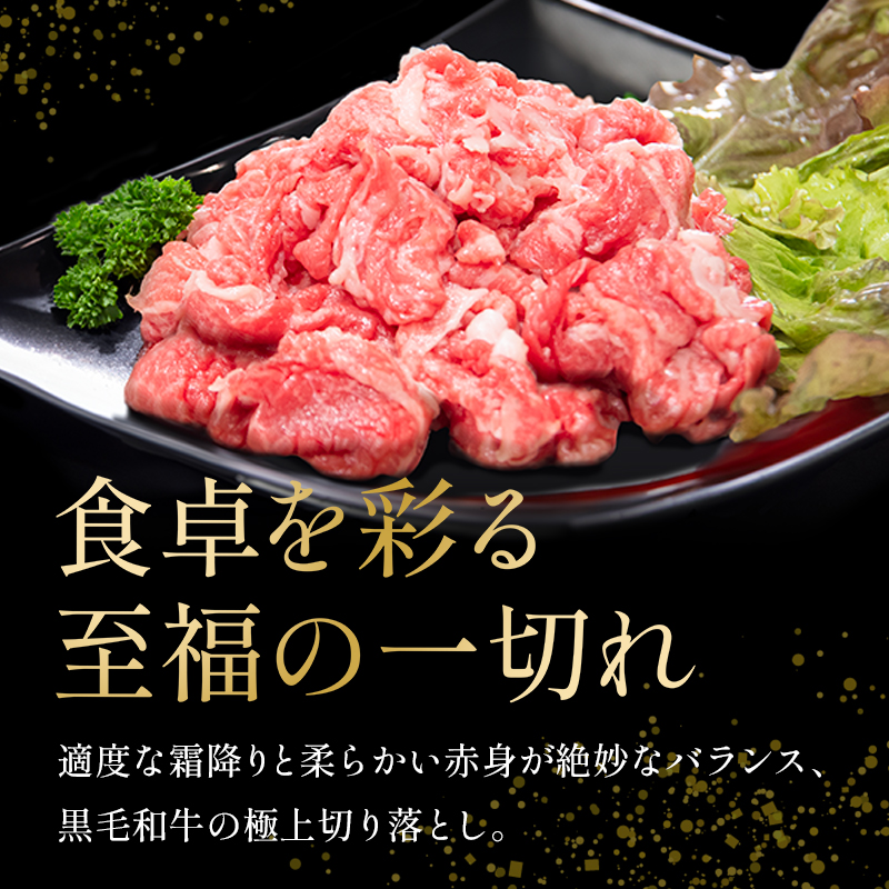 国産 黒毛和牛 阿波牛 赤身 切り落とし 550g 牛肉 切り落し 赤身 もも バラ A4 A5 等級 しゃぶしゃぶ すき焼き 炒め物 料理 おかず ごはん