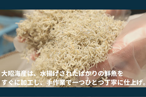 ちりめん 和田島ちりめん【秀】1kg しらす ちりめんじゃこ 小分け 冷蔵 (大人気ちりめん 人気ちりめん 小分けちりめん 国産ちりめん おつまみチリメン 絶品ちりめん 冷蔵ちりめん  )