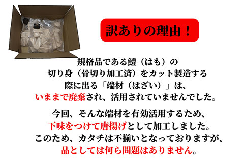 訳あり 鱧 ハモ 唐揚げ 600g × 2袋 1.2kg 冷凍 【大人気唐揚げ 人気唐揚げ 大人気ハモ 人気ハモ 唐揚げハモ おかずハモ 冷凍ハモ】